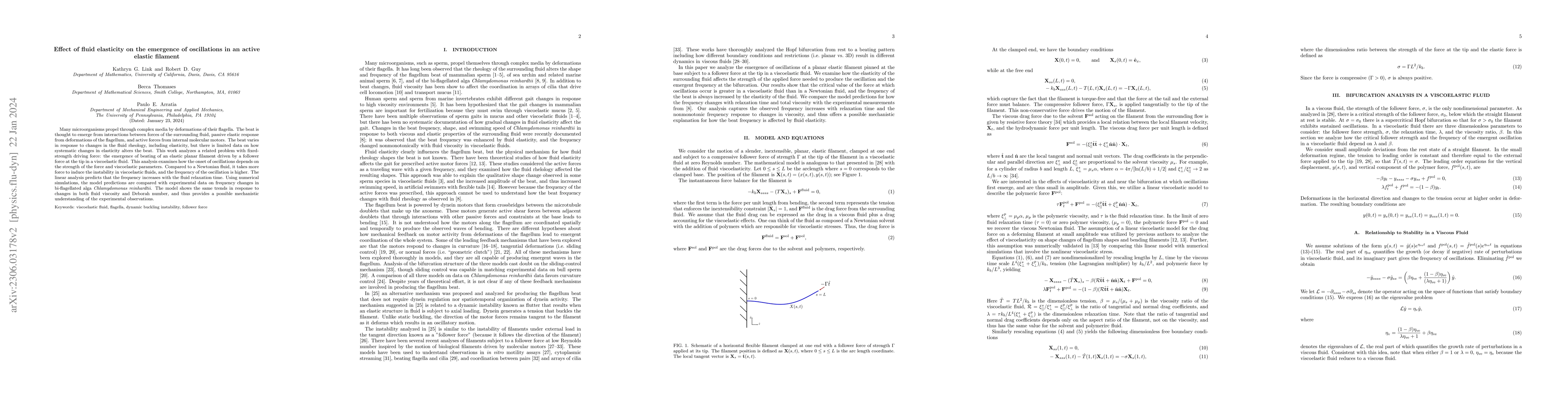Thumbnail for Effect of fluid elasticity on the emergence of oscillations in an active
  elastic filament