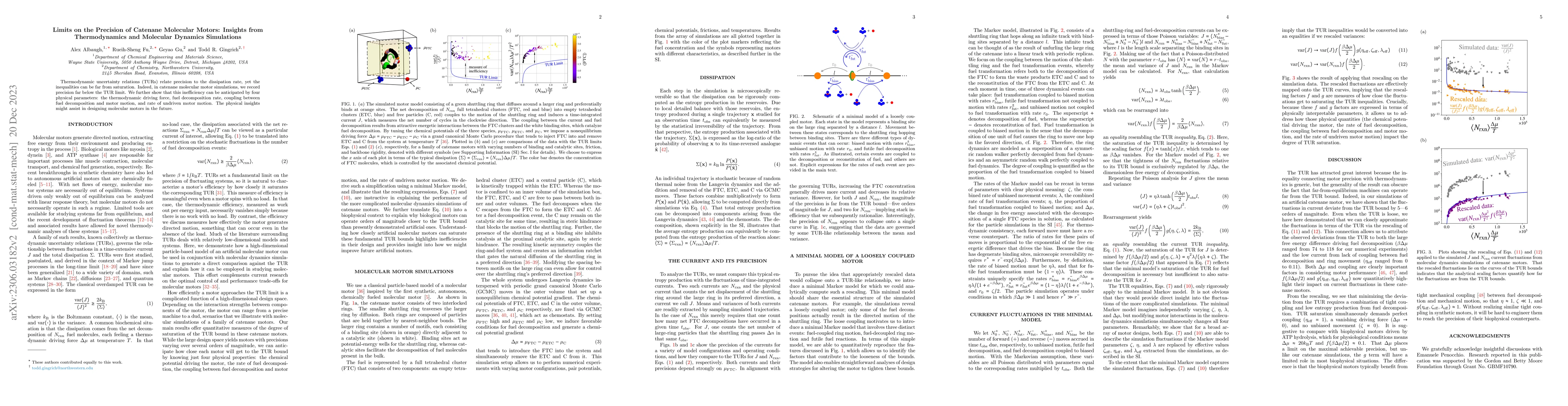 Thumbnail for Limits on the Precision of Catenane Molecular Motors: Insights from
  Thermodynamics and Molecular Dynamics Simulations