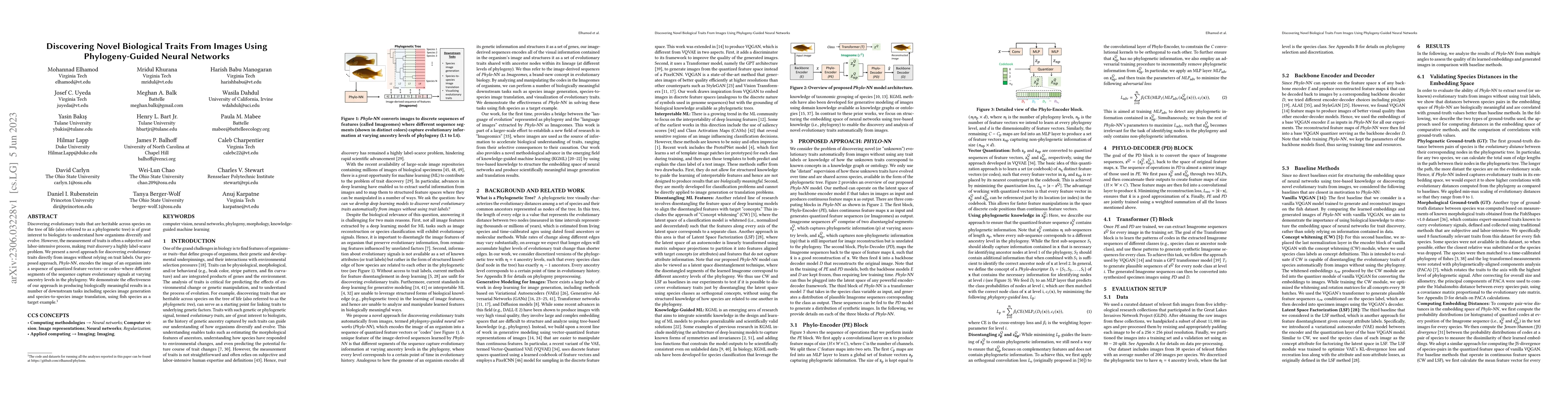 Thumbnail for Discovering Novel Biological Traits From Images Using Phylogeny-Guided
  Neural Networks