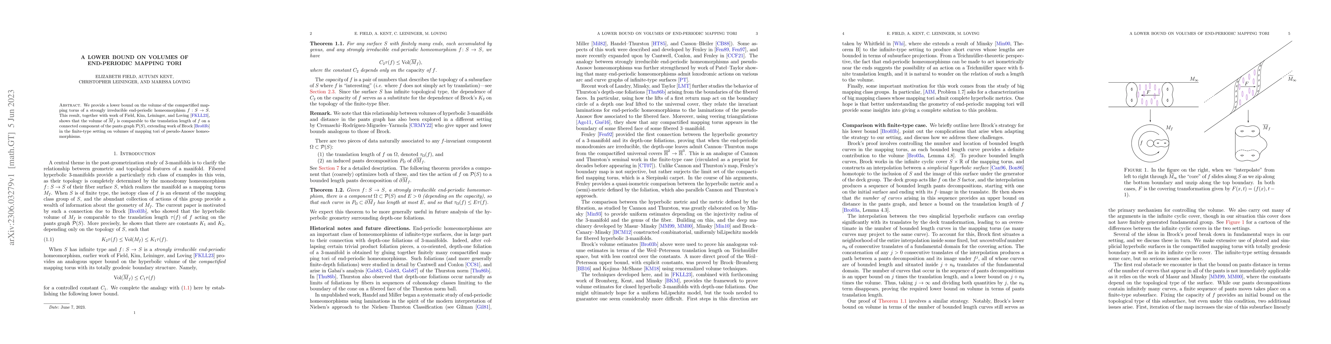 Thumbnail for A lower bound on volumes of end-periodic mapping tori