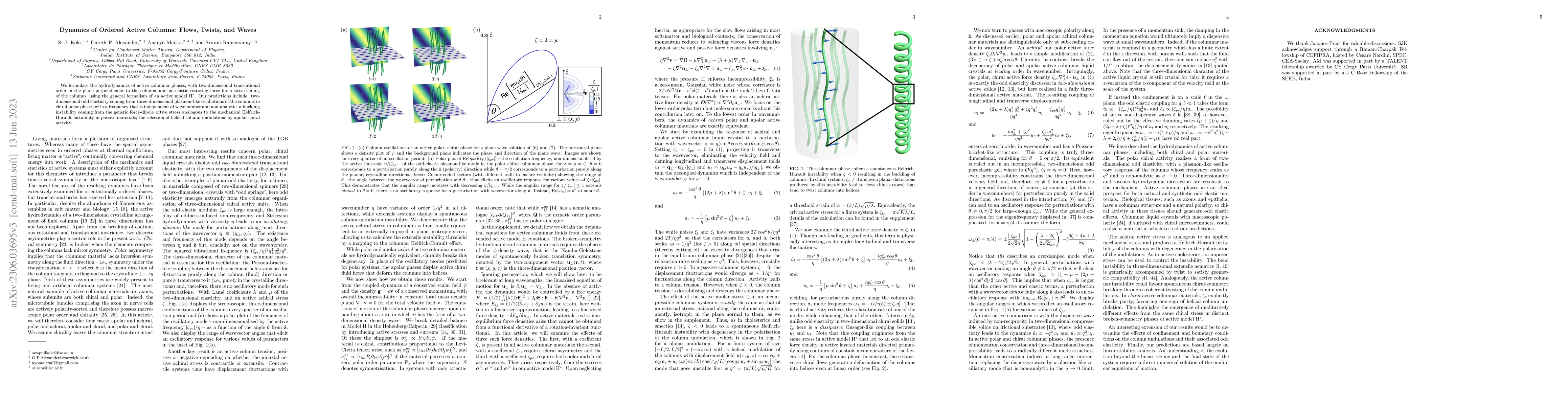 Thumbnail for Dynamics of Ordered Active Columns: Flows, Twists, and Waves