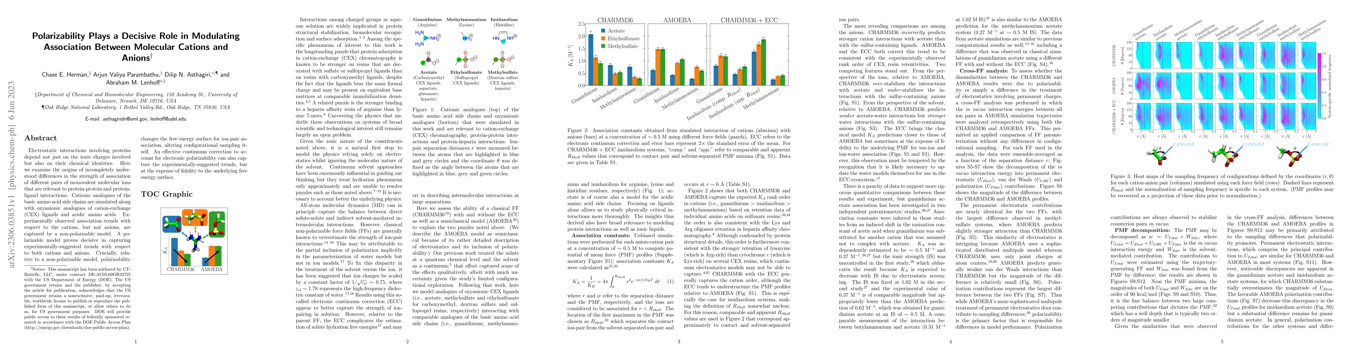 Thumbnail for Polarizability Plays a Decisive Role in Modulating Association Between
  Molecular Cations and Anions