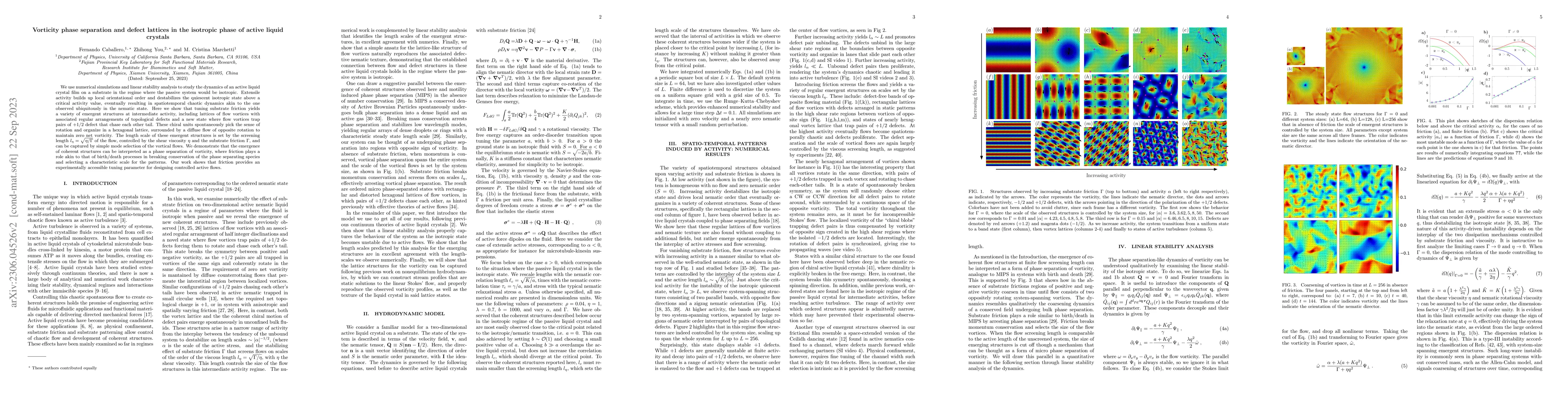 Thumbnail for Vorticity phase separation and defect lattices in the isotropic phase of
  active liquid crystals