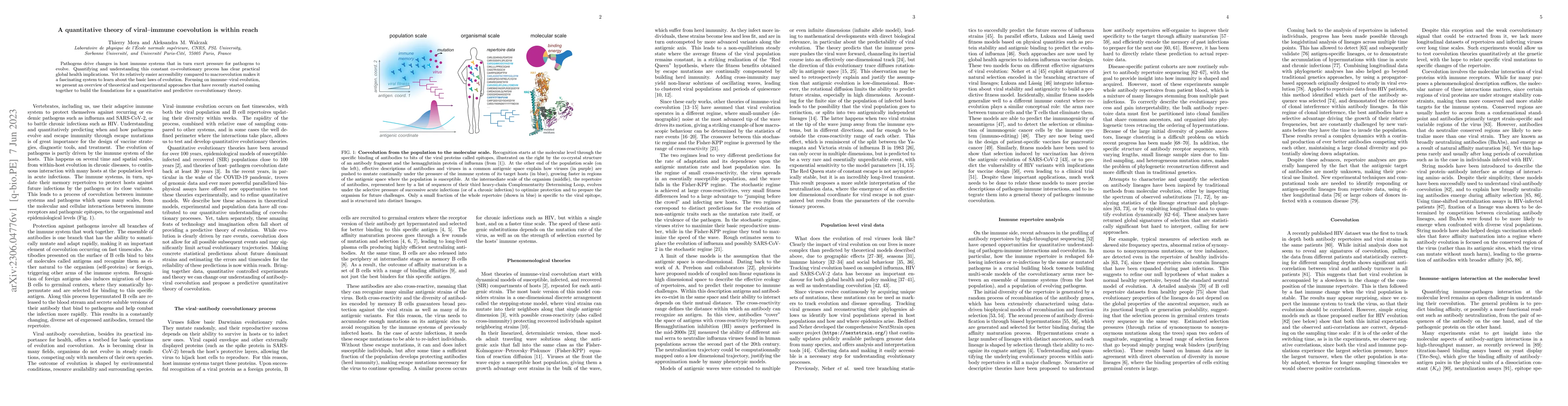 Thumbnail for A quantitative theory of viral-immune coevolution is within reach
