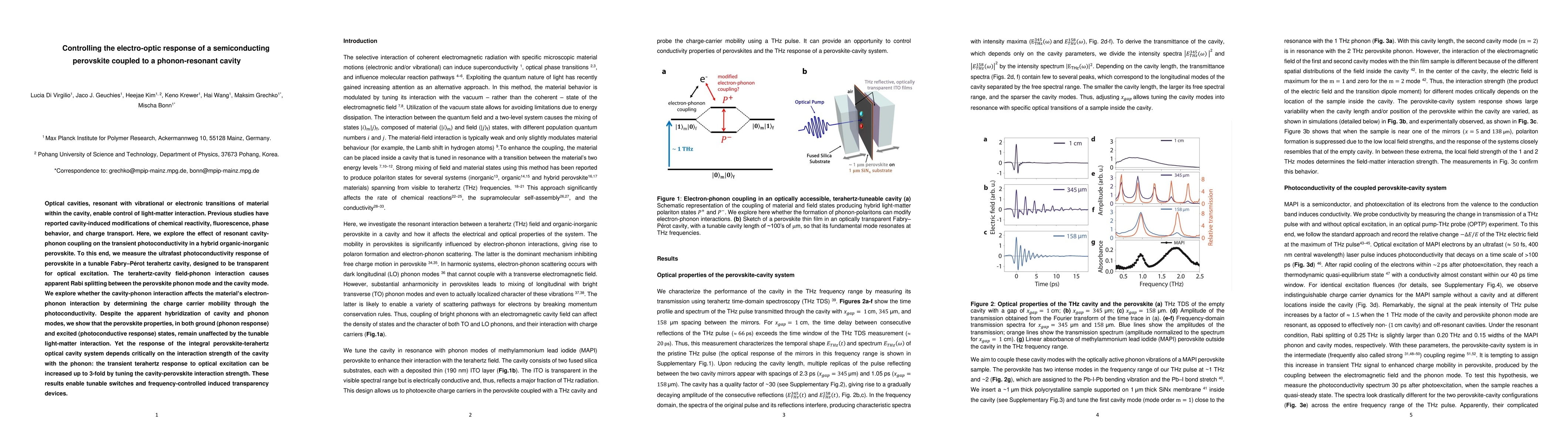 Thumbnail for Controlling the electro-optic response of a semiconducting perovskite
  coupled to a phonon-resonant cavity