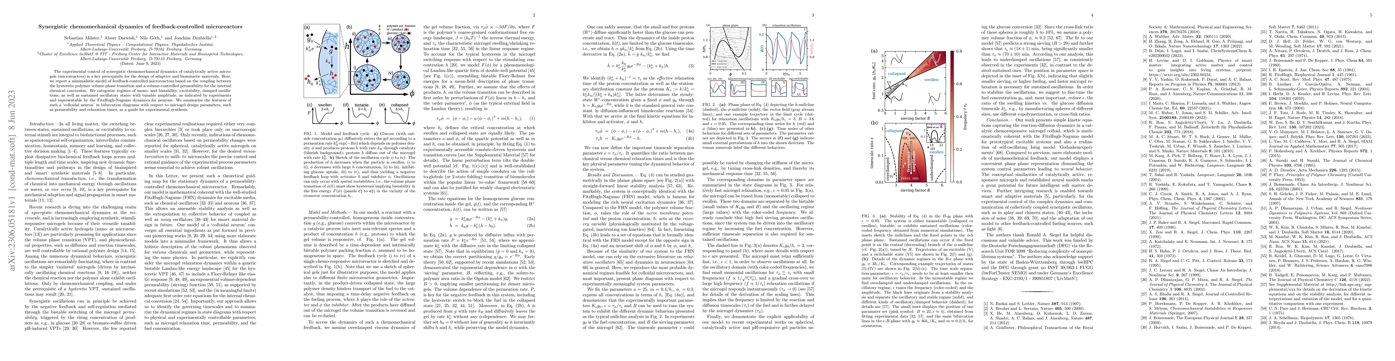Thumbnail for Synergistic chemomechanical dynamics of feedback-controlled
  microreactors