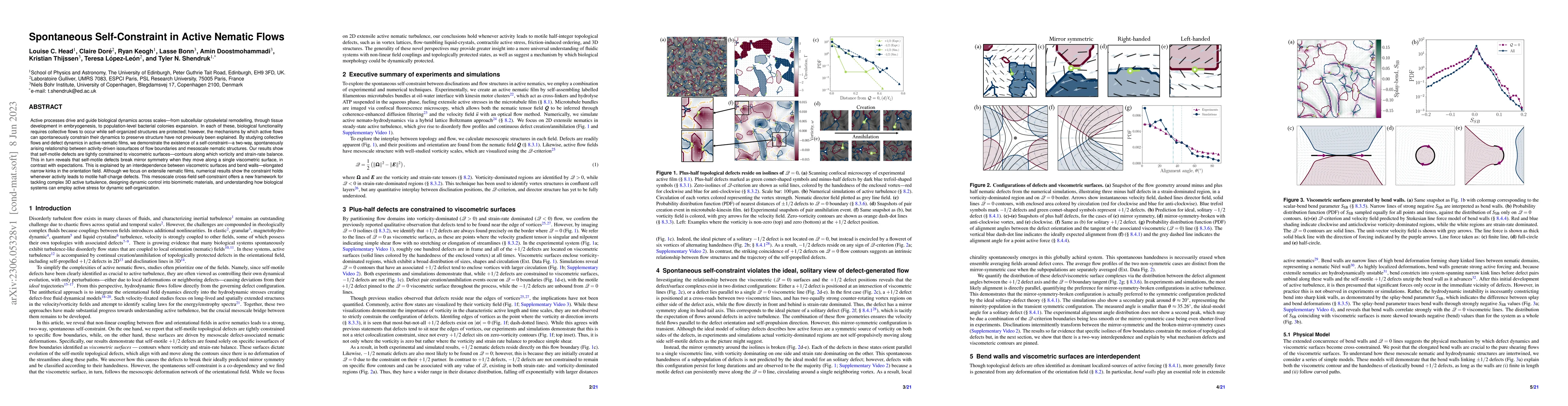 Thumbnail for Spontaneous Self-Constraint in Active Nematic Flows