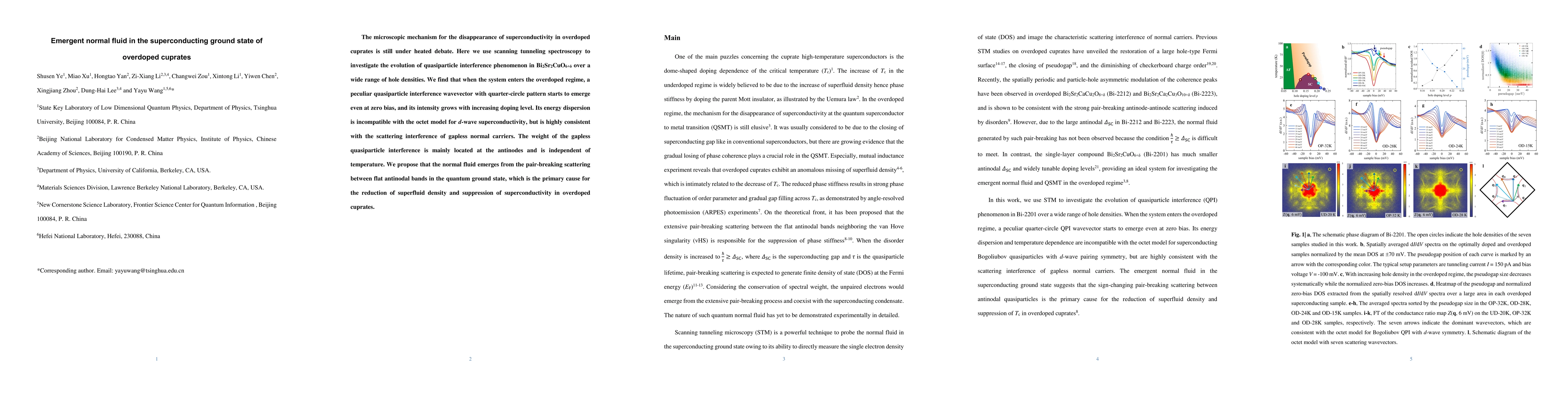 Thumbnail for Emergent normal fluid in the superconducting ground state of overdoped
  cuprates