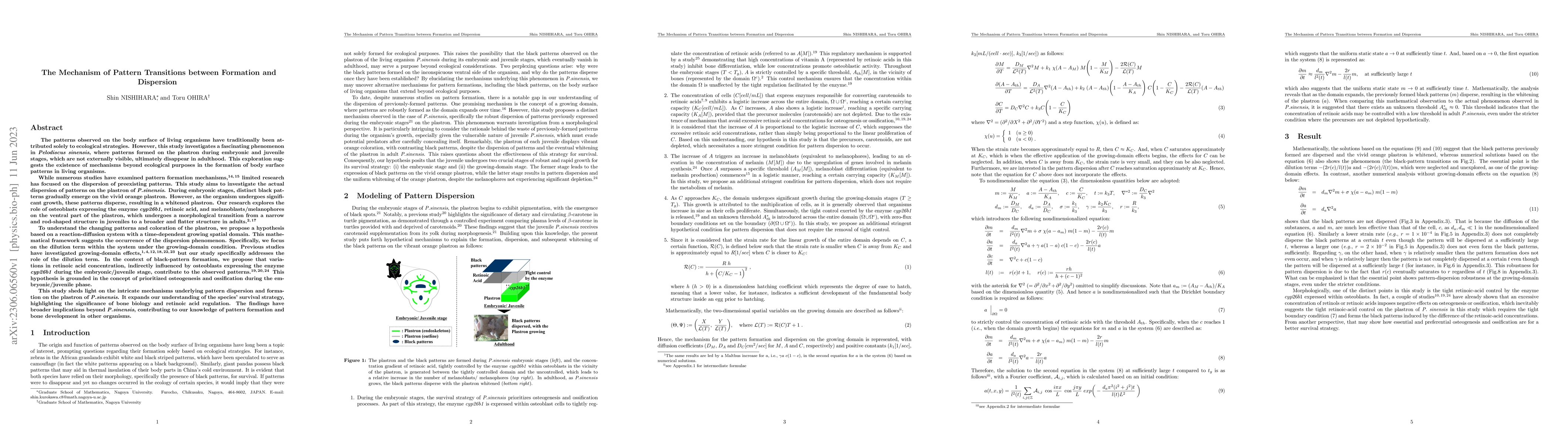 Thumbnail for The Mechanism of Pattern Transitions between Formation and Dispersion