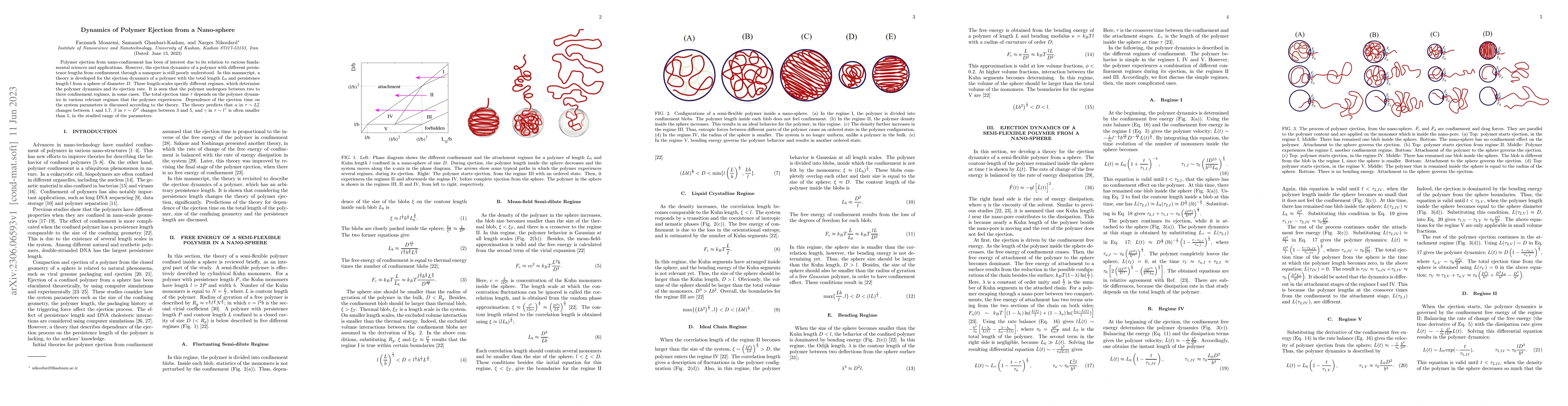 Thumbnail for Dynamics of Polymer Ejection from a Nano-sphere