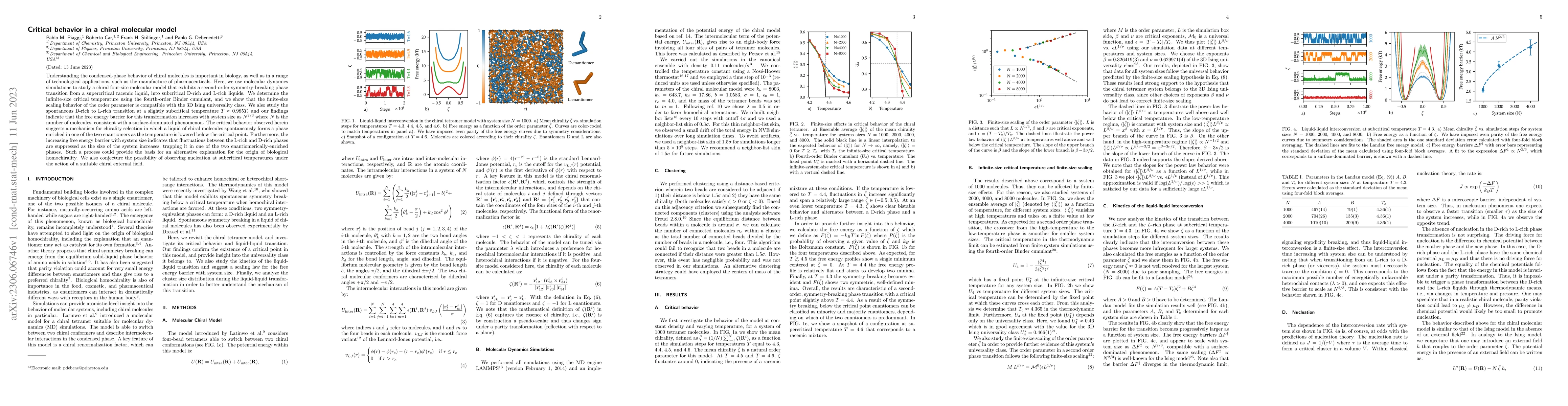 Thumbnail for Critical behavior in a chiral molecular model