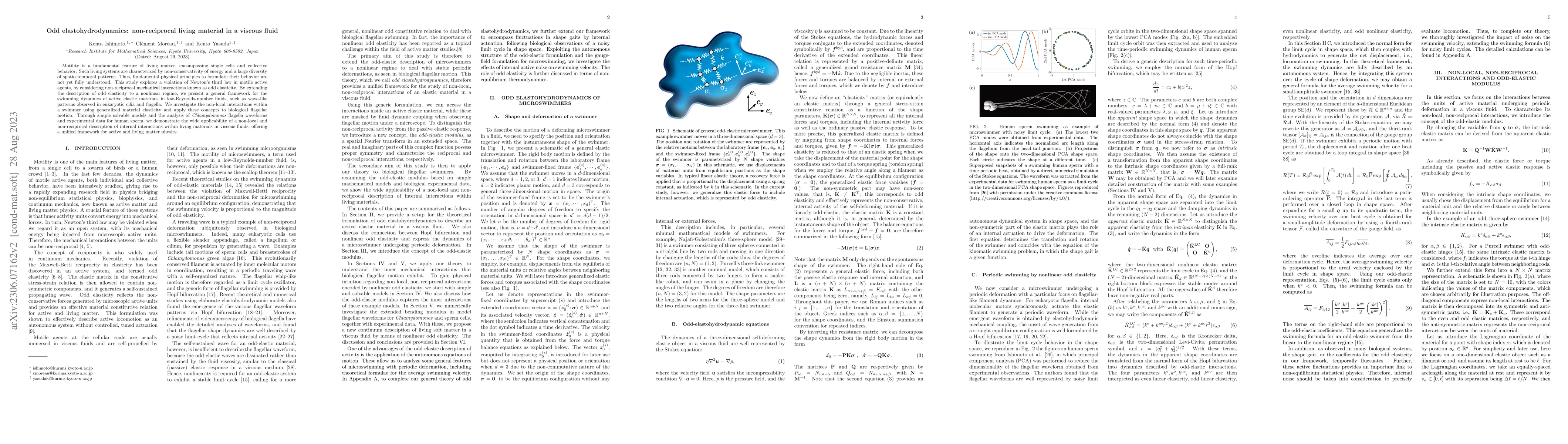 Thumbnail for Odd elastohydrodynamics: non-reciprocal living material in a viscous
  fluid