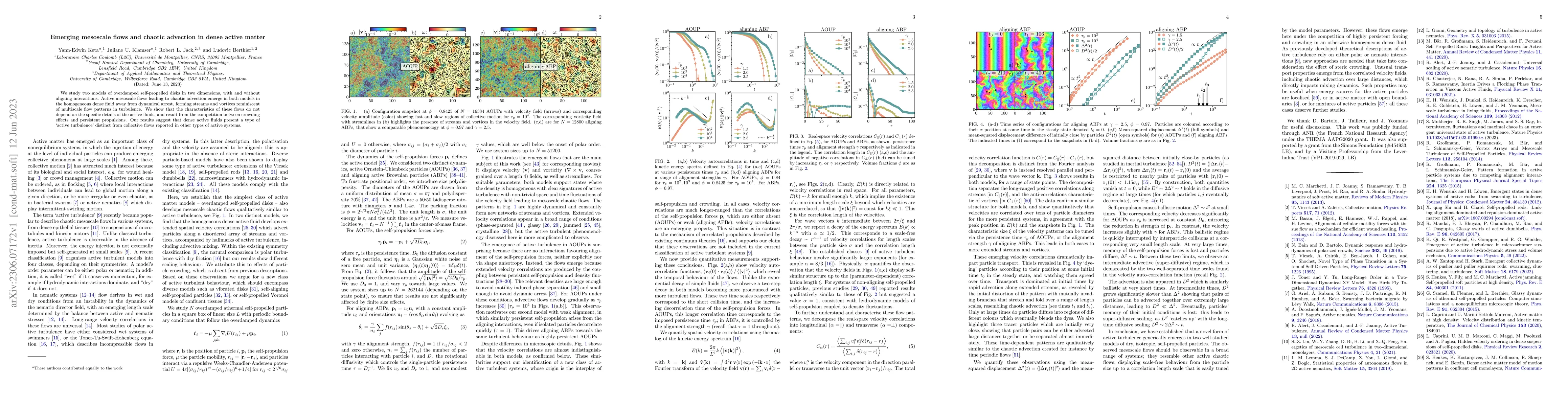 Thumbnail for Emerging mesoscale flows and chaotic advection in dense active matter