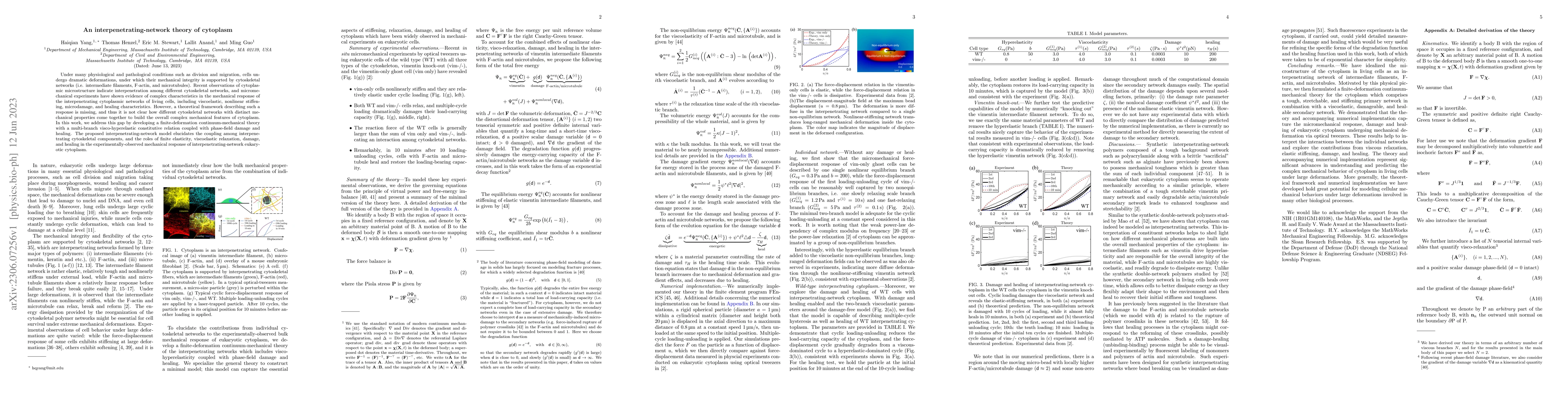 Thumbnail for An interpenetrating-network theory of cytoplasm