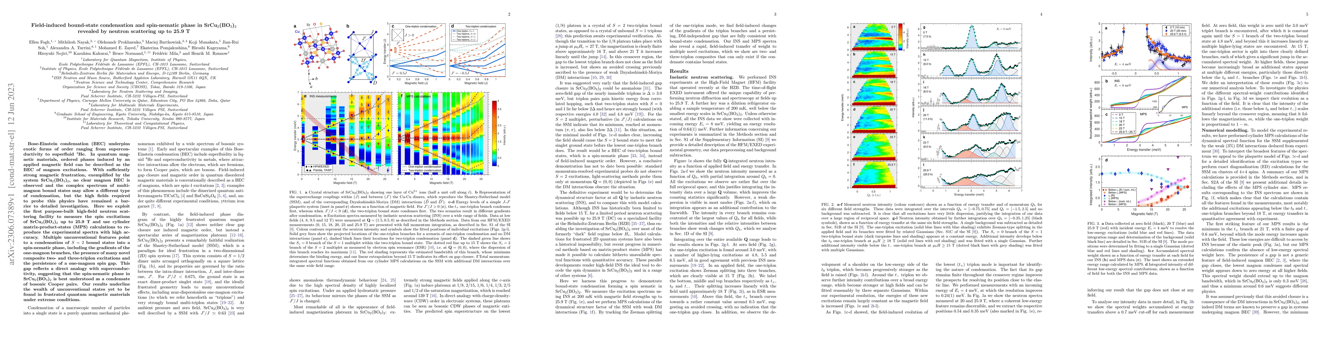 Thumbnail for Field-induced bound-state condensation and spin-nematic phase in
  SrCu$_2$(BO$_3$)$_2$ revealed by neutron scattering up to 25.9 T