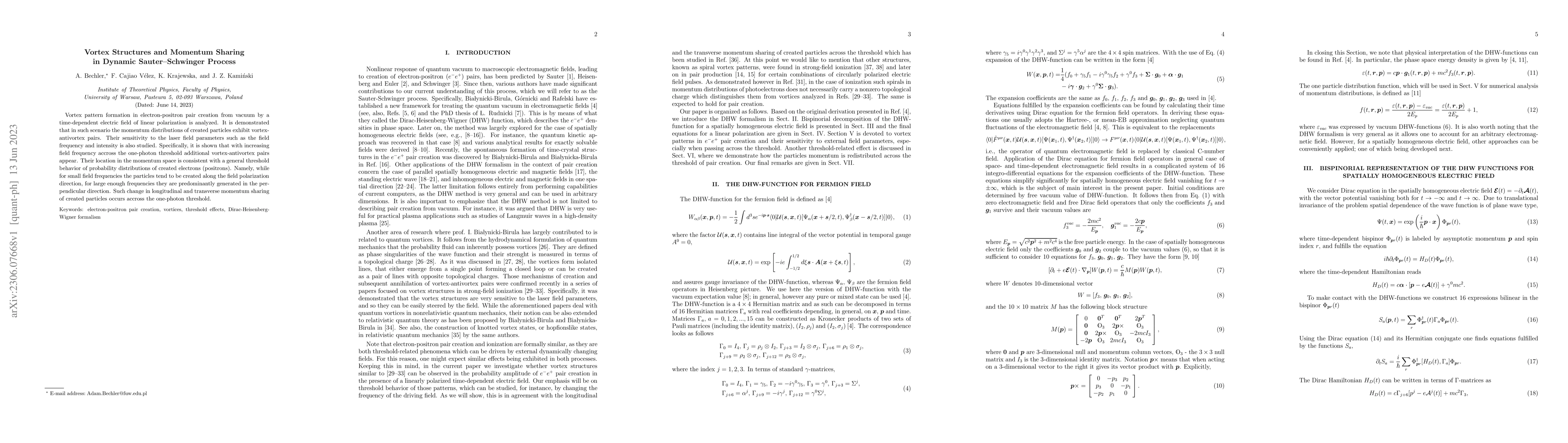 Thumbnail for Vortex Structures and Momentum Sharing in Dynamic Sauter-Schwinger
  Process