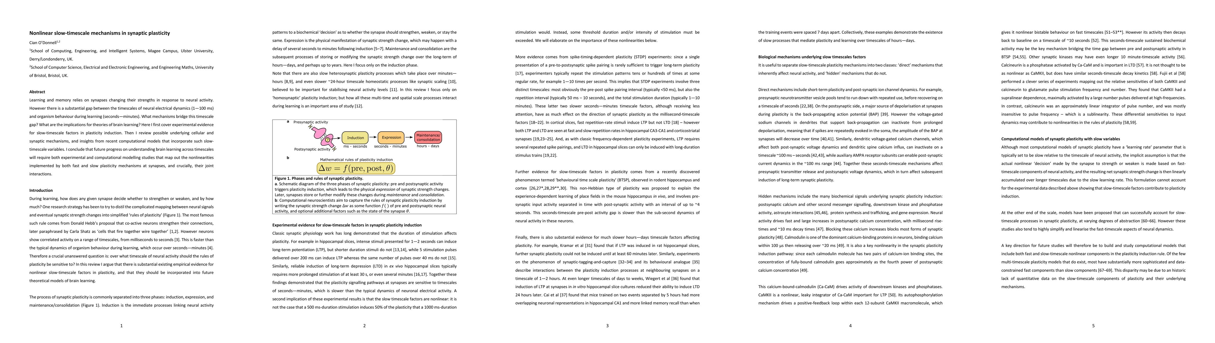 Thumbnail for Nonlinear slow-timescale mechanisms in synaptic plasticity