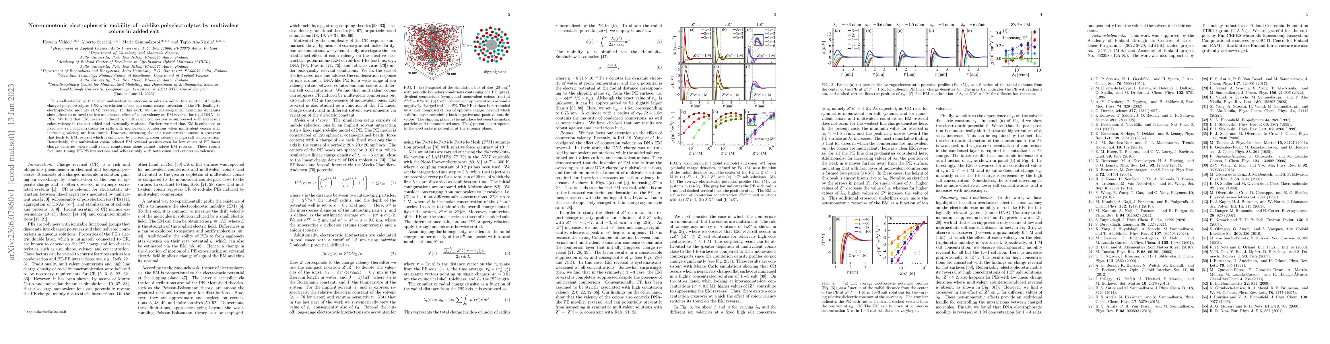 Thumbnail for Non-monotonic electrophoretic mobility of rod-like polyelectrolytes by
  multivalent coions in added salt