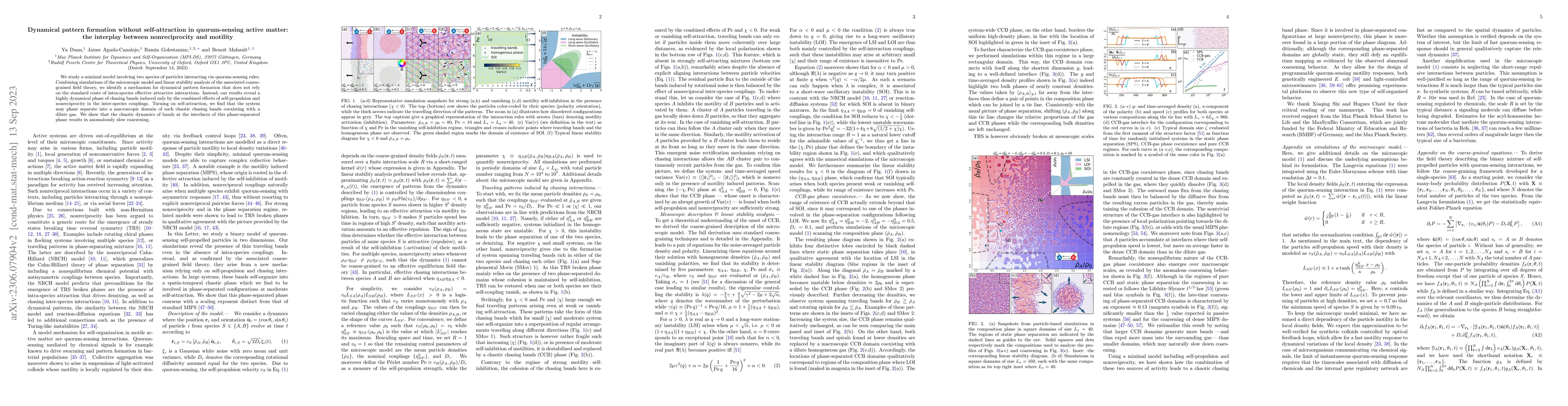 Thumbnail for Dynamical pattern formation without self-attraction in quorum-sensing
  active matter: the interplay between nonreciprocity and motility