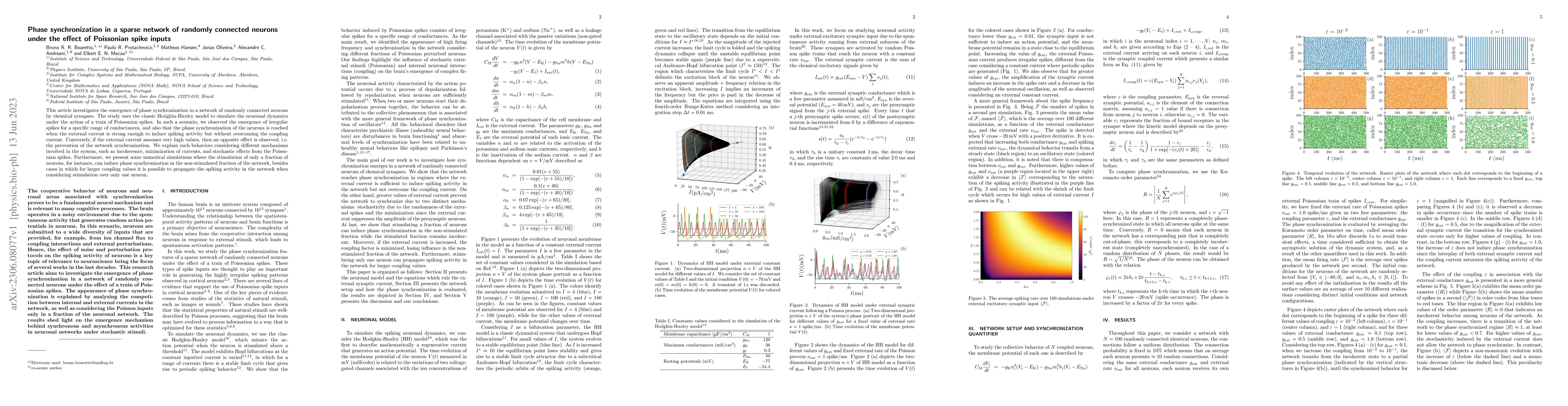 Thumbnail for Phase synchronization in a sparse network of randomly connected neurons
  under the effect of Poissonian spike inputs