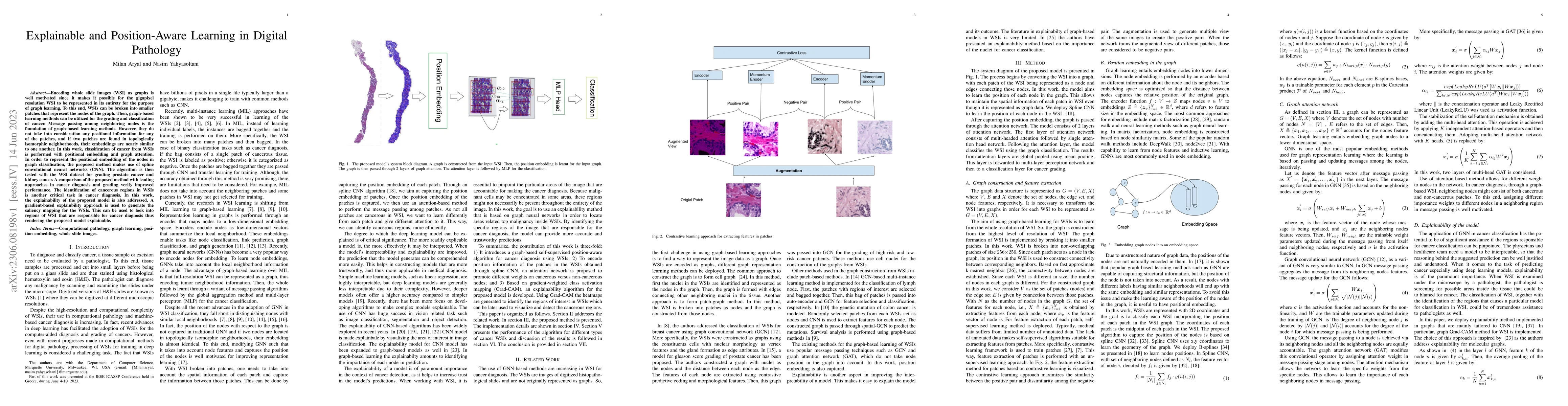 Thumbnail for Explainable and Position-Aware Learning in Digital Pathology