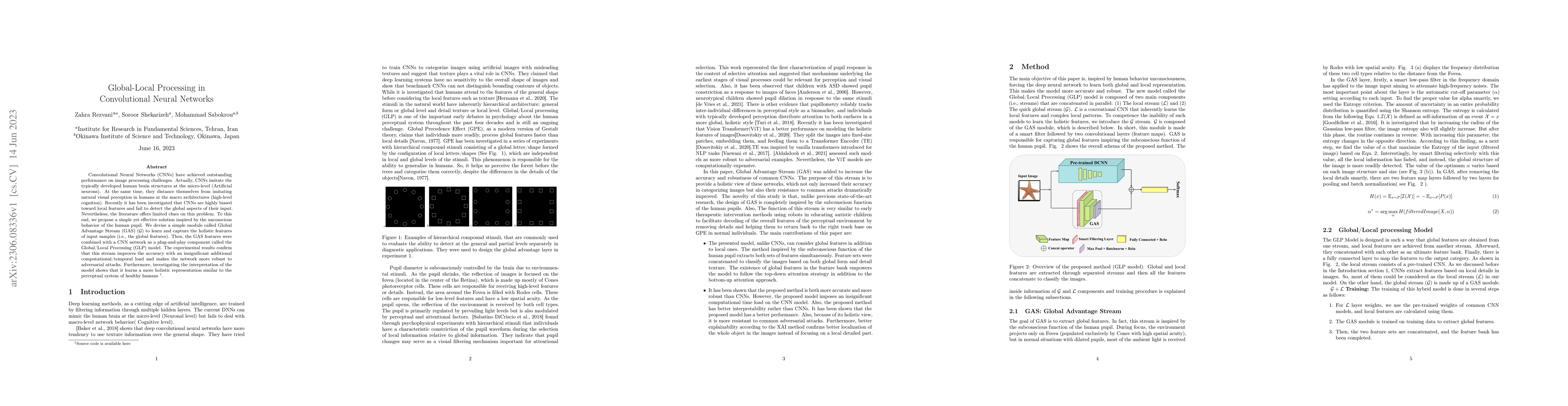 Thumbnail for Global-Local Processing in Convolutional Neural Networks