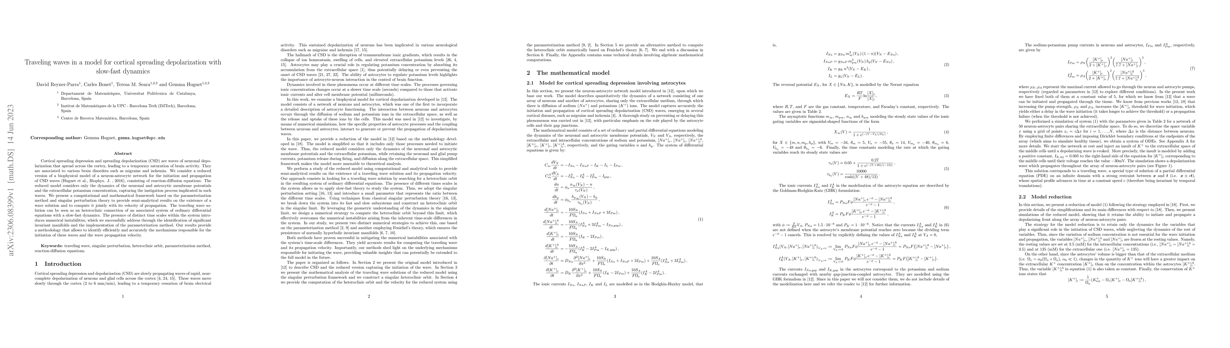 Thumbnail for Traveling waves in a model for cortical spreading depolarization with
  slow-fast dynamics