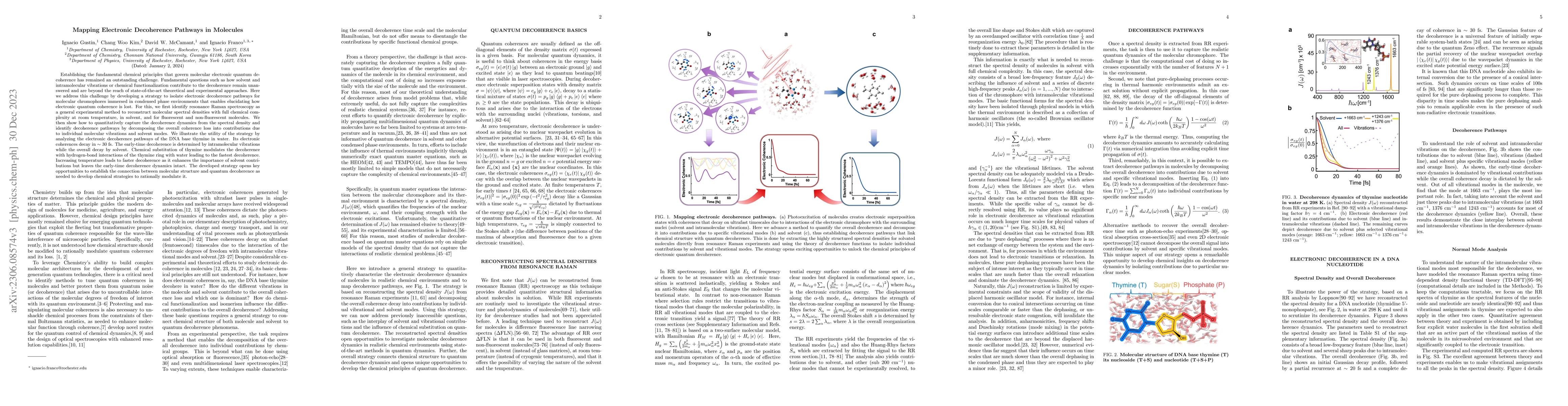 Thumbnail for Mapping Electronic Decoherence Pathways in Molecules