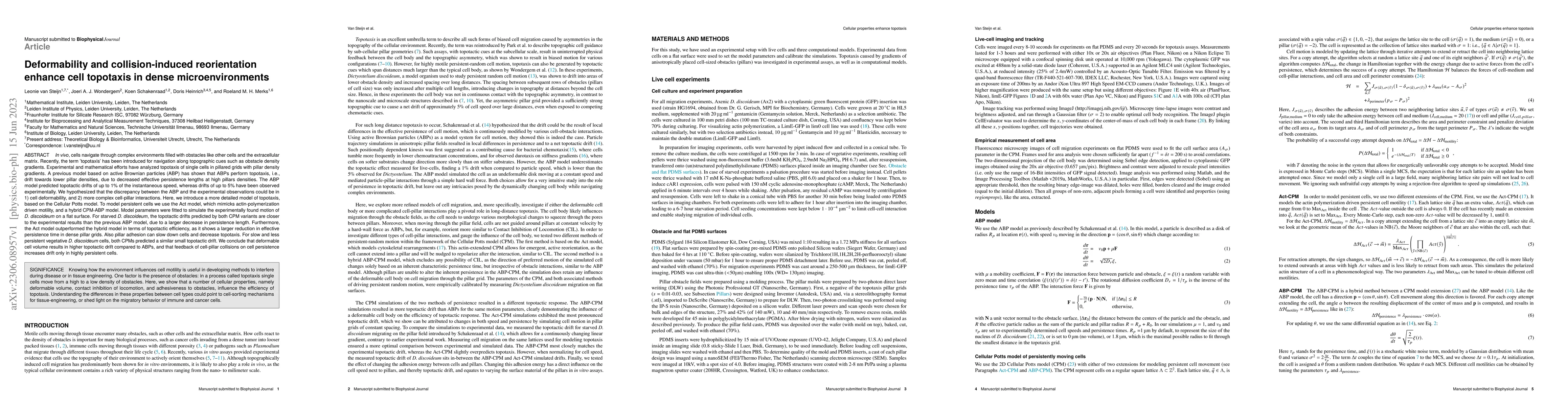 Thumbnail for Deformability and collision-induced reorientation enhance cell topotaxis
  in dense microenvironments