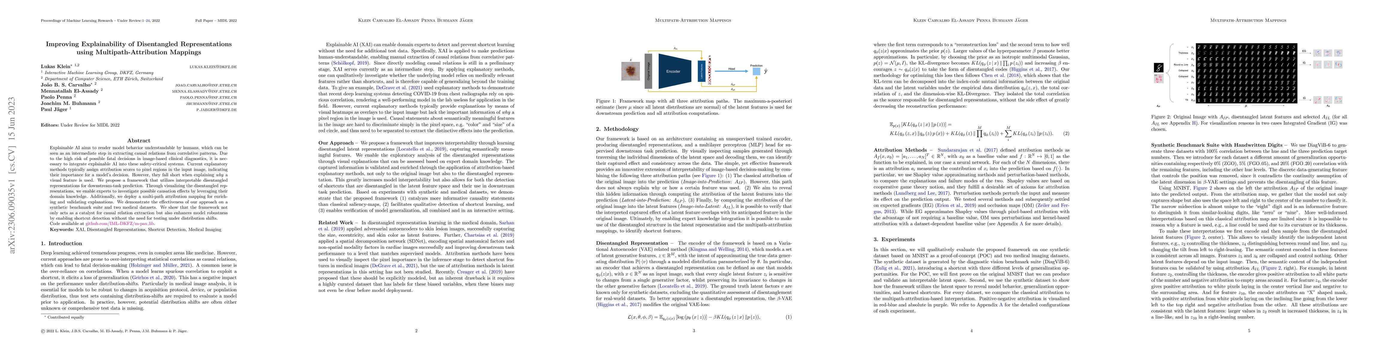 Thumbnail for Improving Explainability of Disentangled Representations using
  Multipath-Attribution Mappings