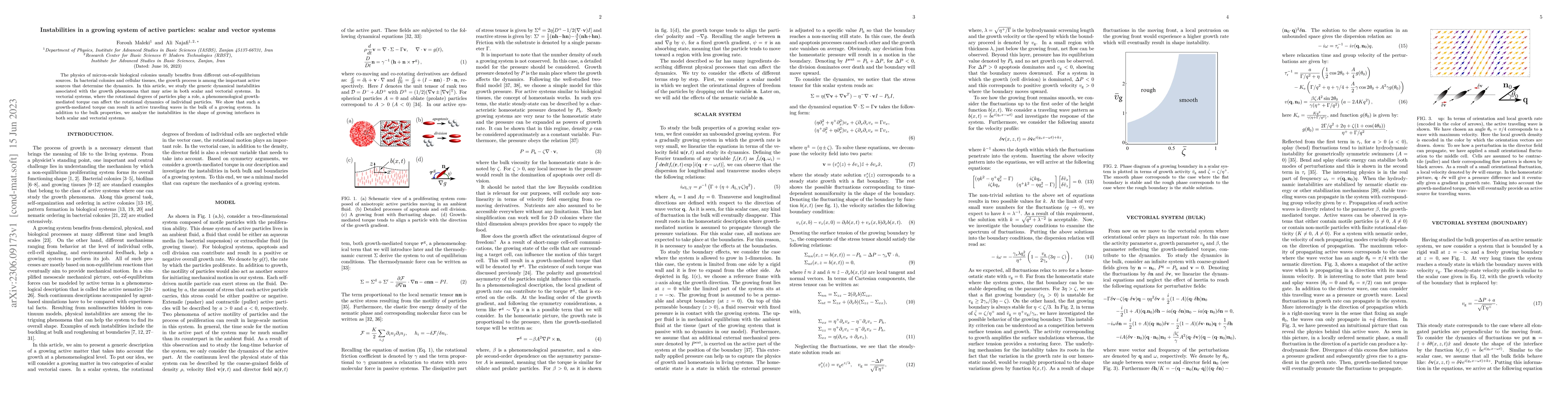 Thumbnail for Instabilities in a growing system of active particles: scalar and vector
  systems