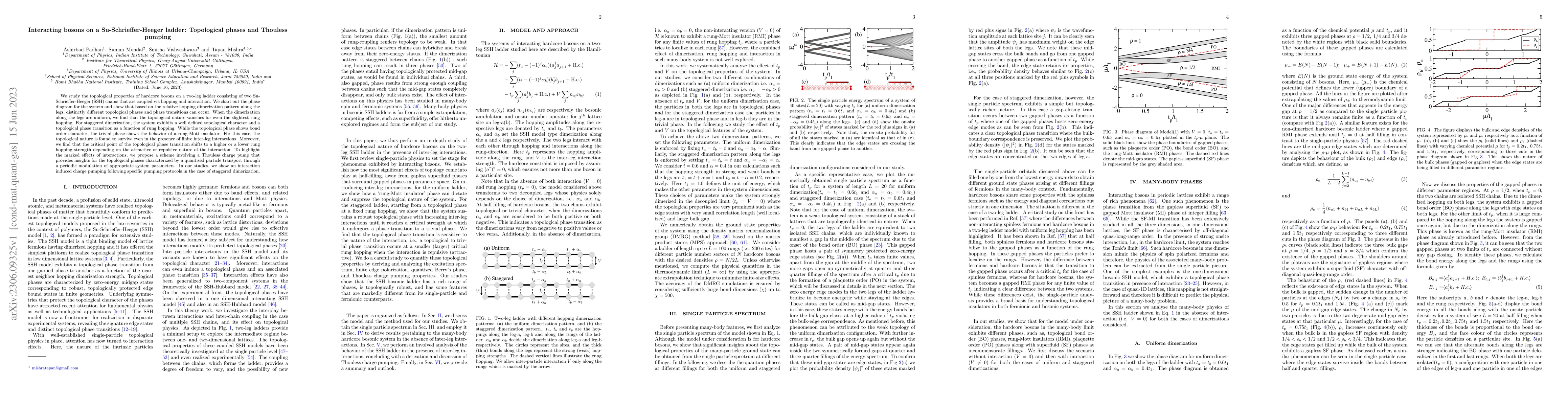 Thumbnail for Interacting bosons on a Su-Schrieffer-Heeger ladder: Topological phases
  and Thouless pumping