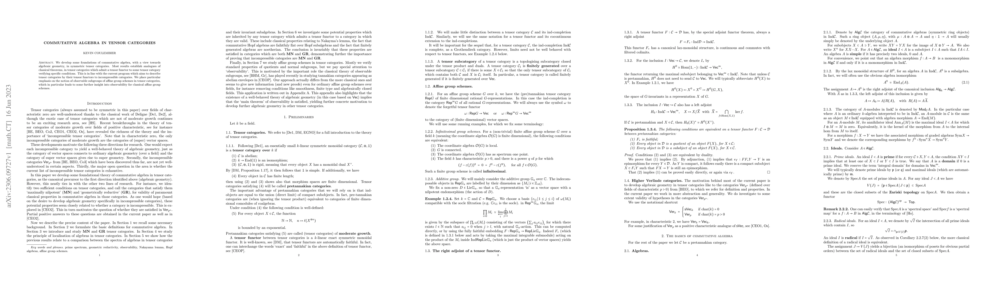 Thumbnail for Commutative algebra in tensor categories