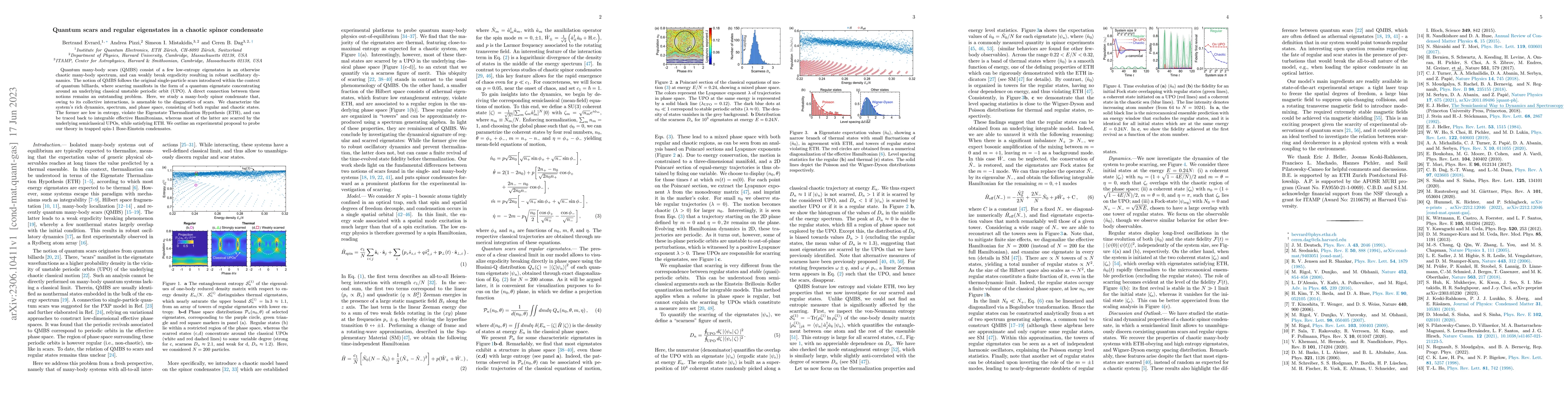 Thumbnail for Quantum scars and regular eigenstates in a chaotic spinor condensate