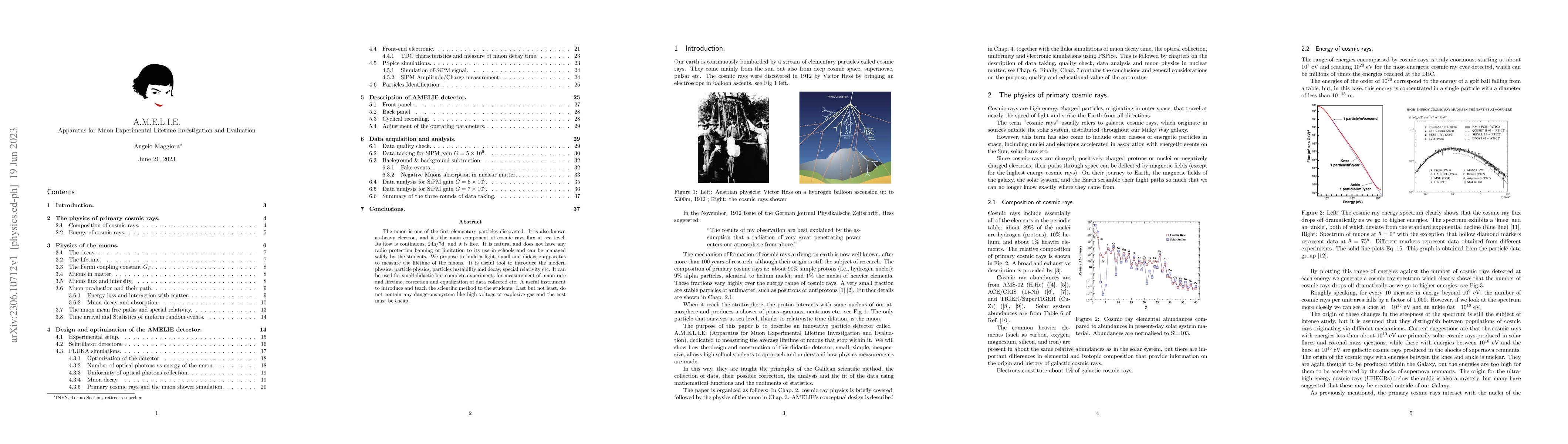 Thumbnail for A.M.E.L.I.E. Apparatus for Muon Experimental Lifetime Investigation and
  Evaluation