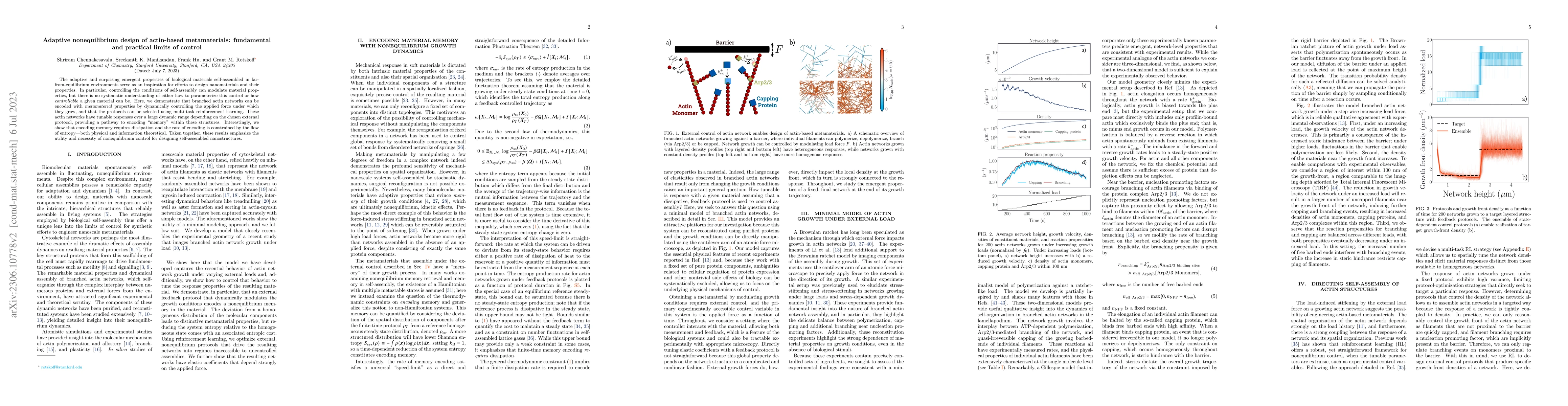 Thumbnail for Adaptive nonequilibrium design of actin-based metamaterials: fundamental
  and practical limits of control