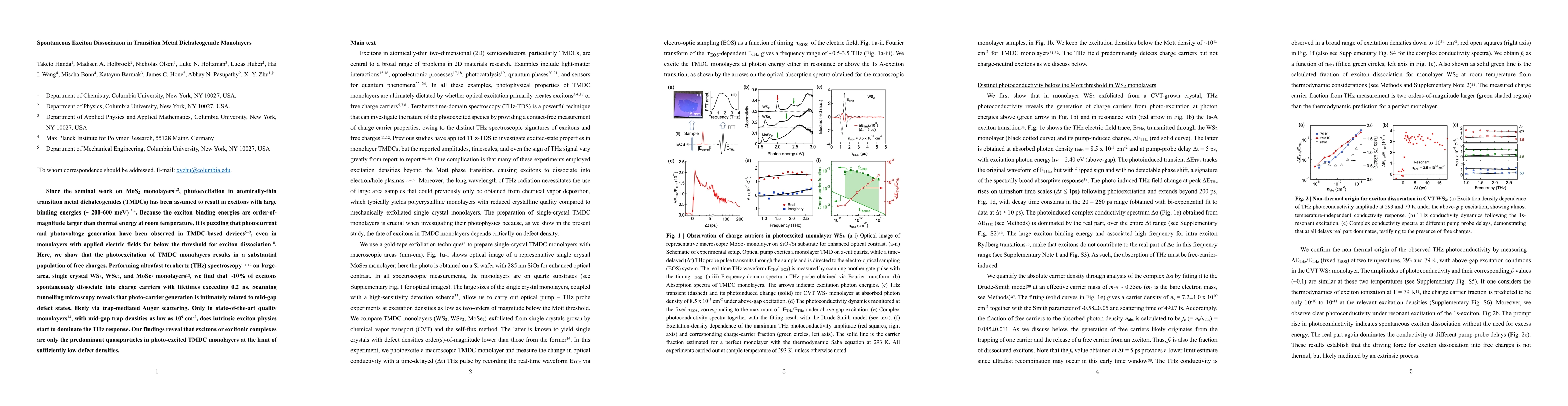 Thumbnail for Spontaneous Exciton Dissociation in Transition Metal Dichalcogenide
  Monolayers