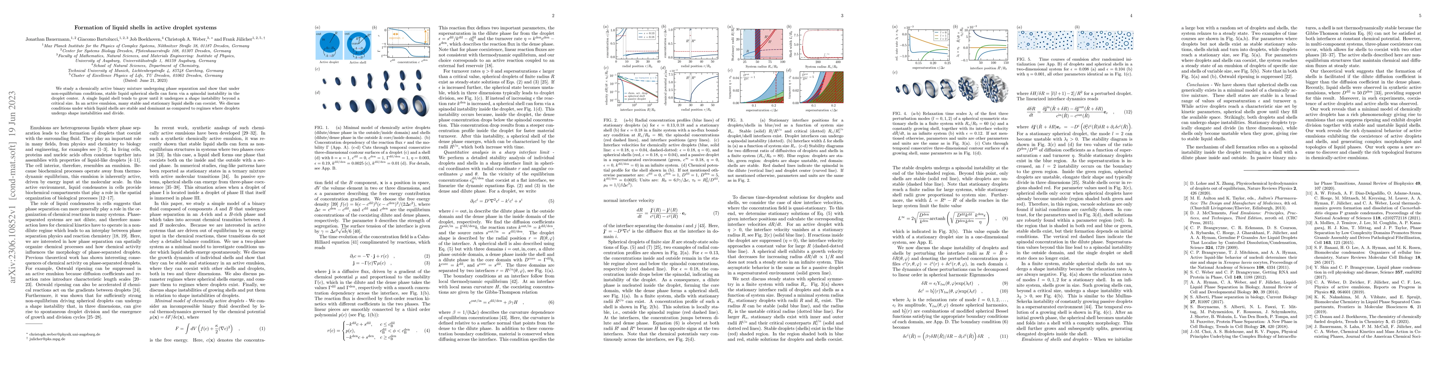 Thumbnail for Formation of liquid shells in active droplet systems