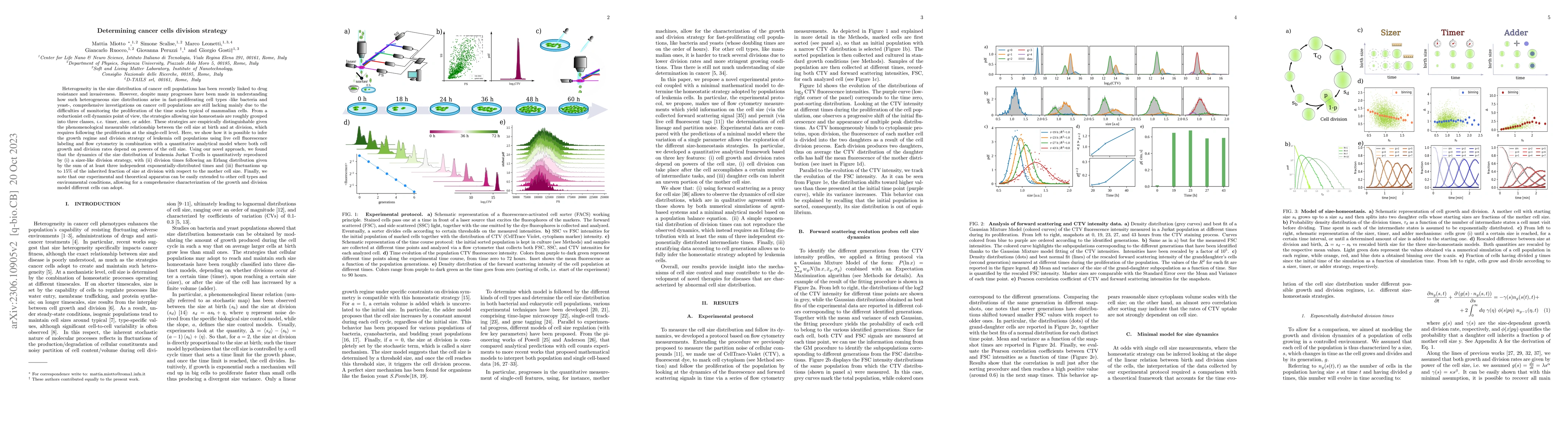 Thumbnail for Determining cancer cells division strategy