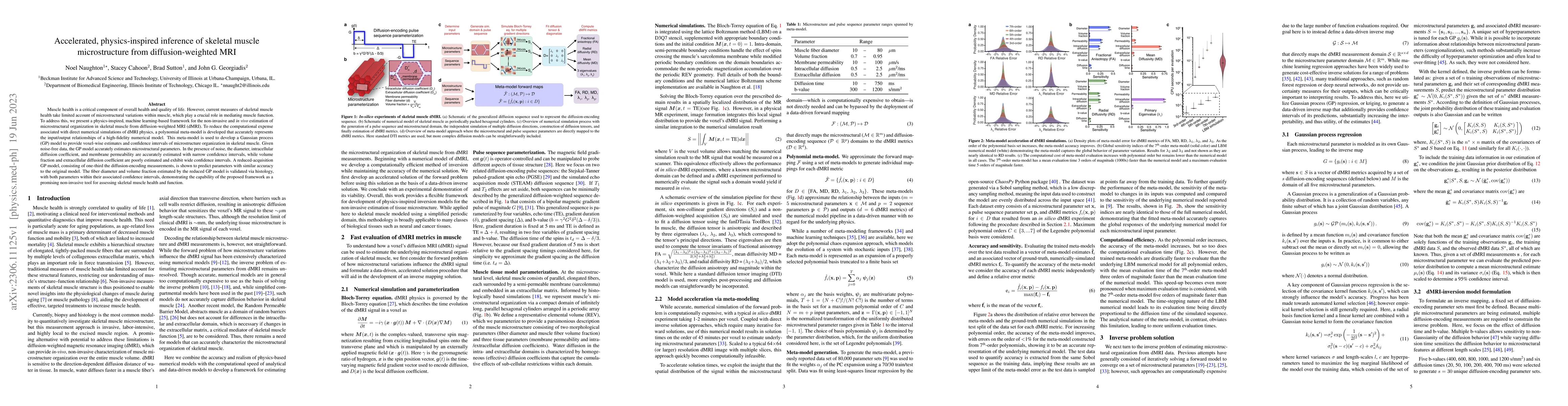 Thumbnail for Accelerated, physics-inspired inference of skeletal muscle
  microstructure from diffusion-weighted MRI
