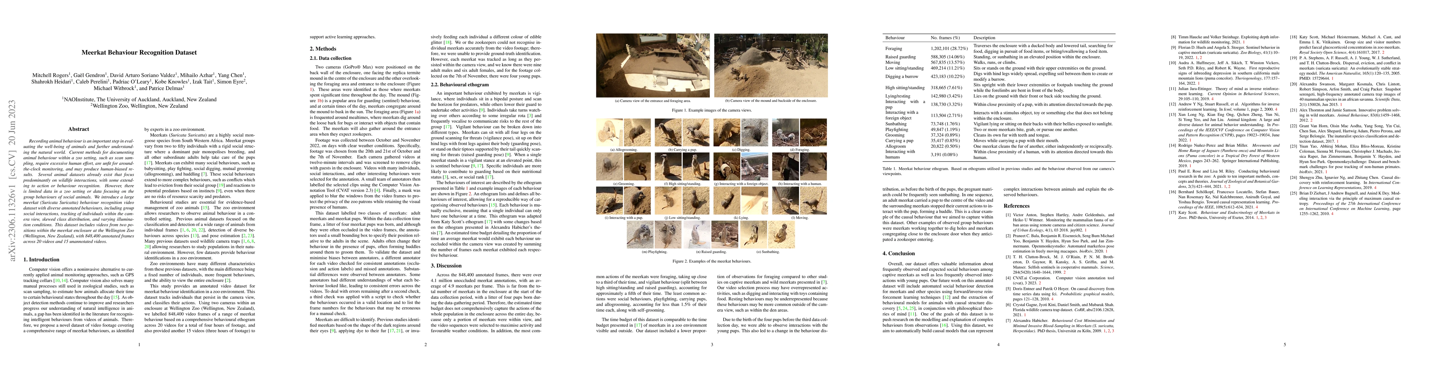Thumbnail for Meerkat Behaviour Recognition Dataset