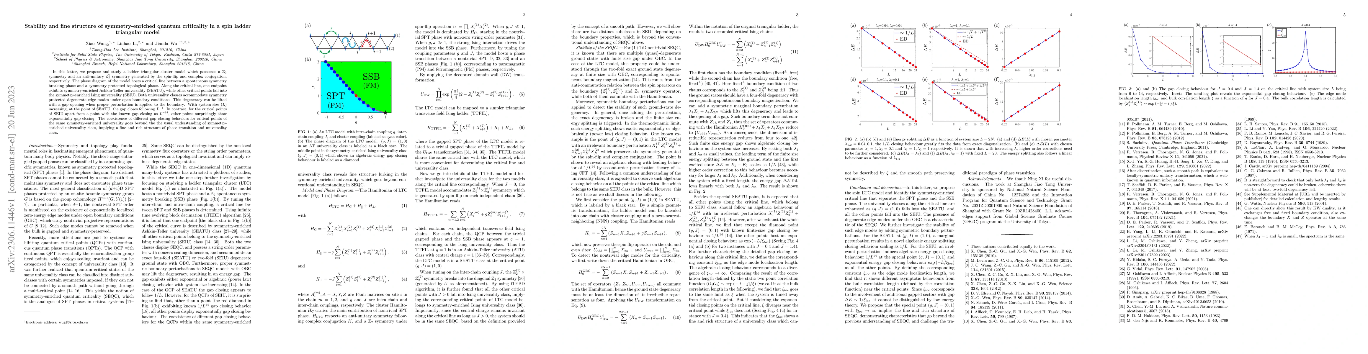 Thumbnail for Stability and fine structure of symmetry-enriched quantum criticality in
  a spin ladder triangular model