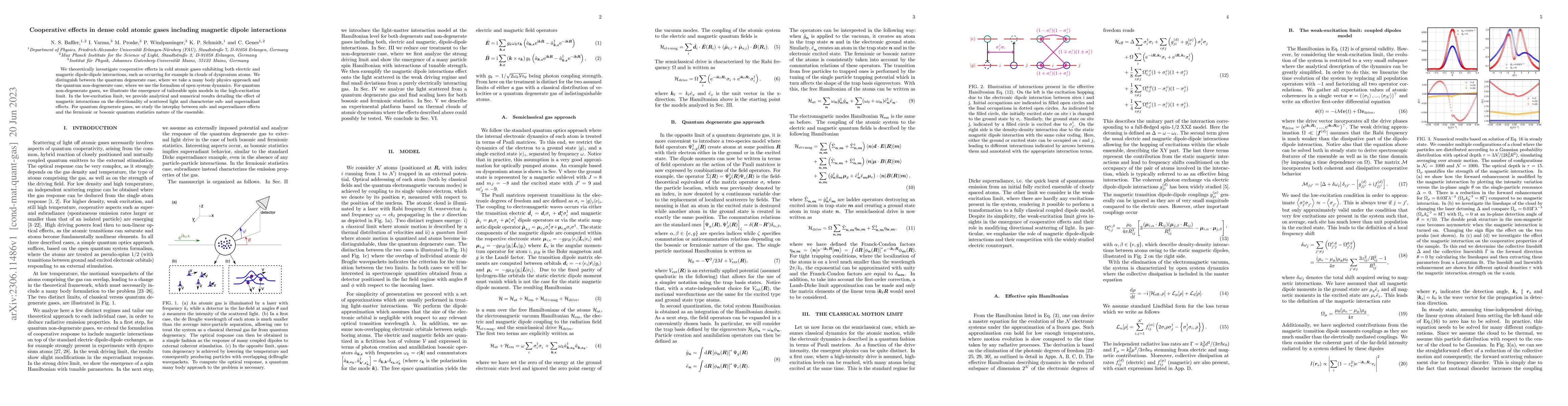 Thumbnail for Cooperative effects in dense cold atomic gases including magnetic dipole
  interactions