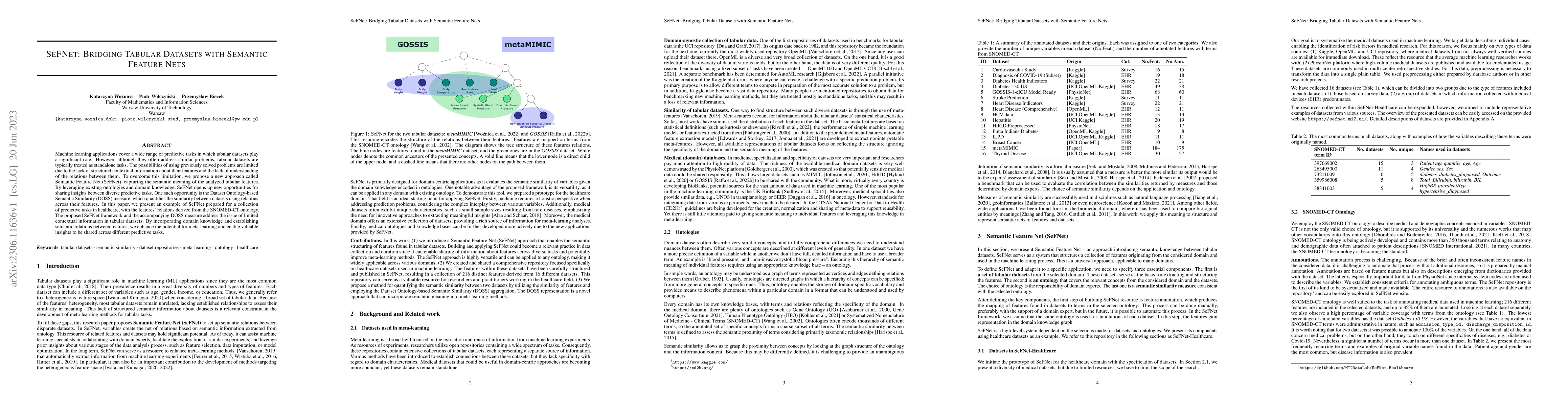 Thumbnail for SeFNet: Bridging Tabular Datasets with Semantic Feature Nets