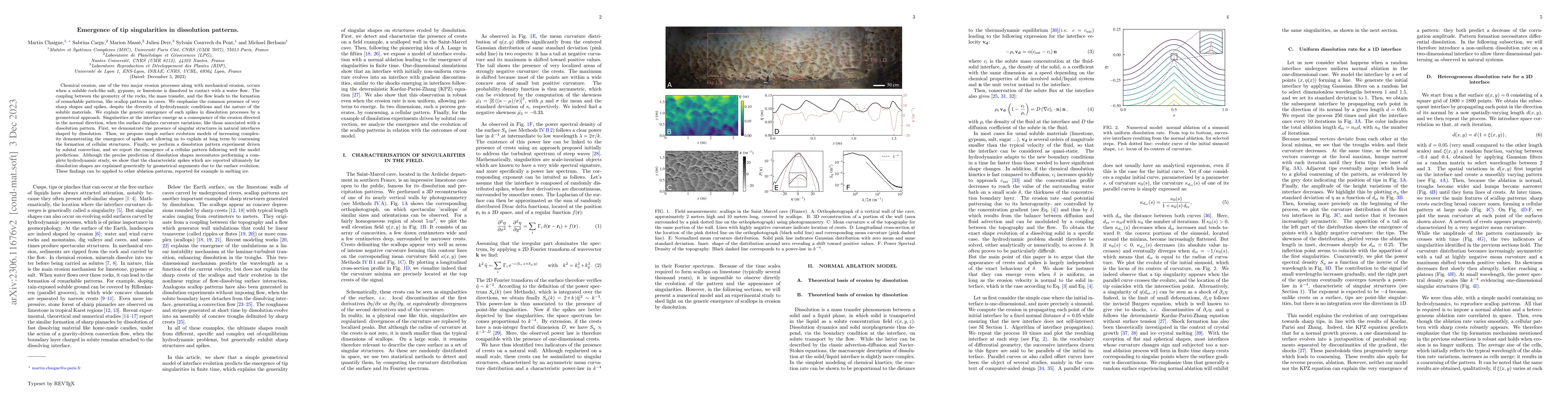 Thumbnail for Emergence of tip singularities in dissolution patterns