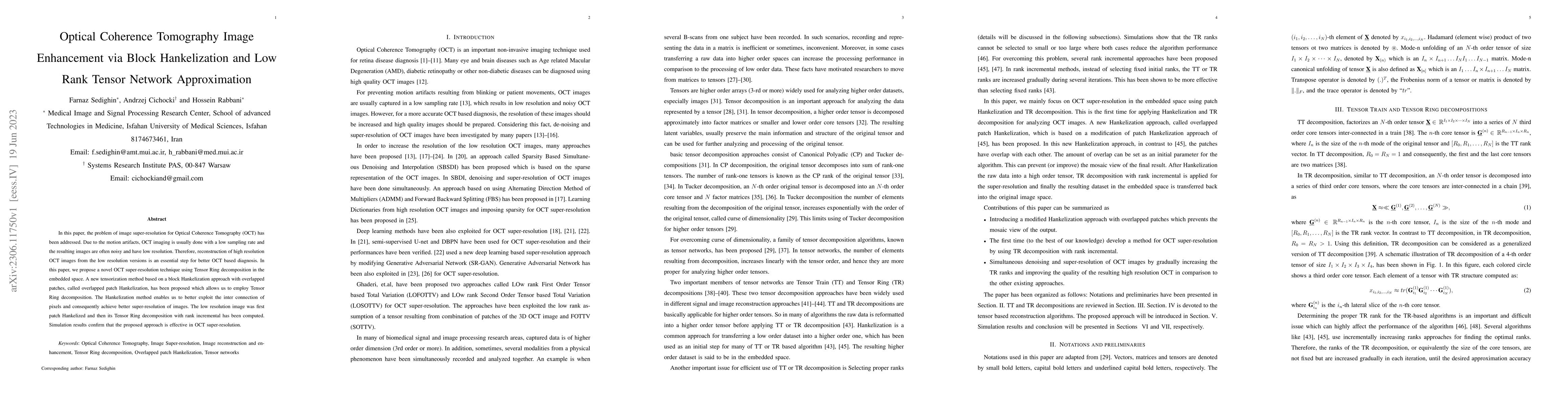Thumbnail for Optical Coherence Tomography Image Enhancement via Block Hankelization
  and Low Rank Tensor Network Approximation