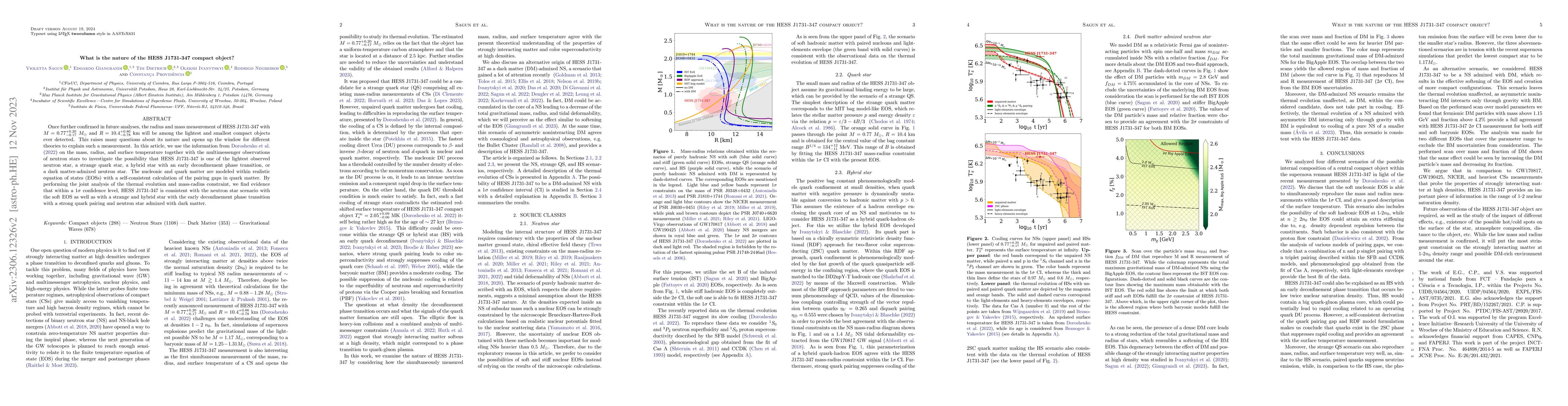Thumbnail for What is the nature of the HESS J1731-347 compact object?