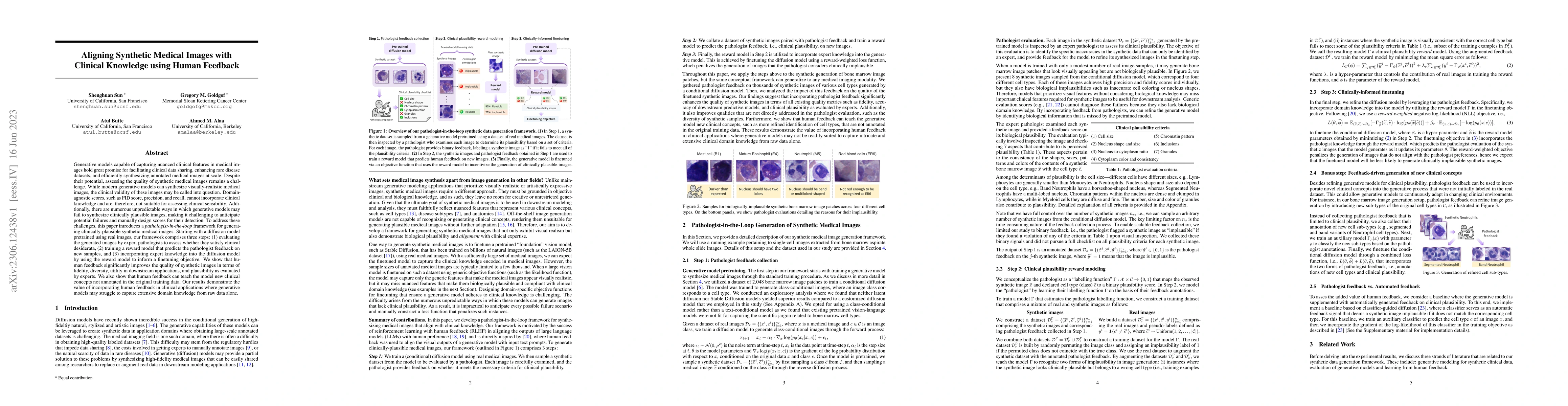 Thumbnail for Aligning Synthetic Medical Images with Clinical Knowledge using Human
  Feedback