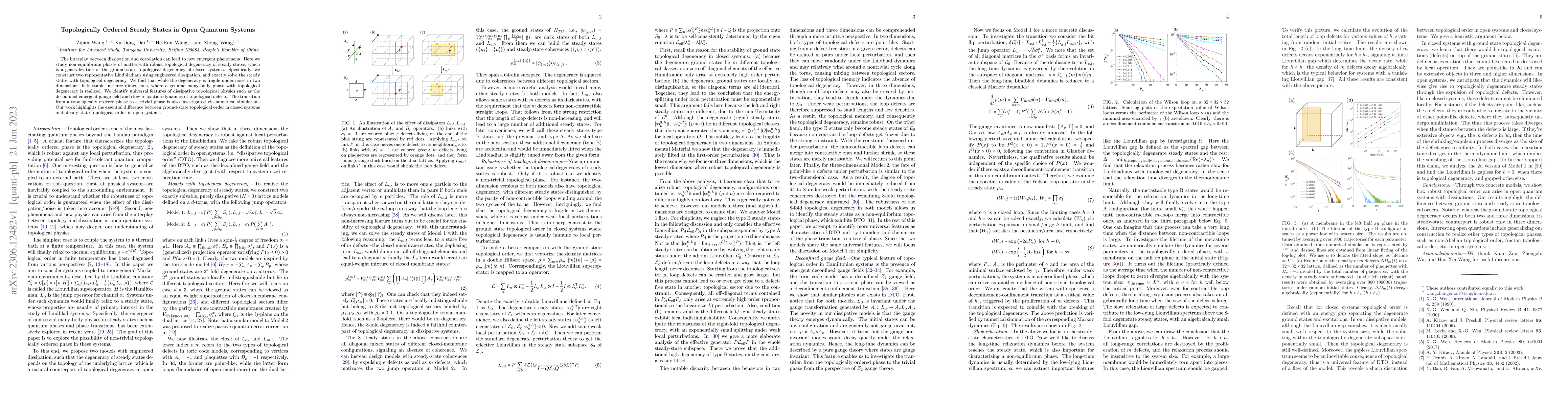Thumbnail for Topologically Ordered Steady States in Open Quantum Systems