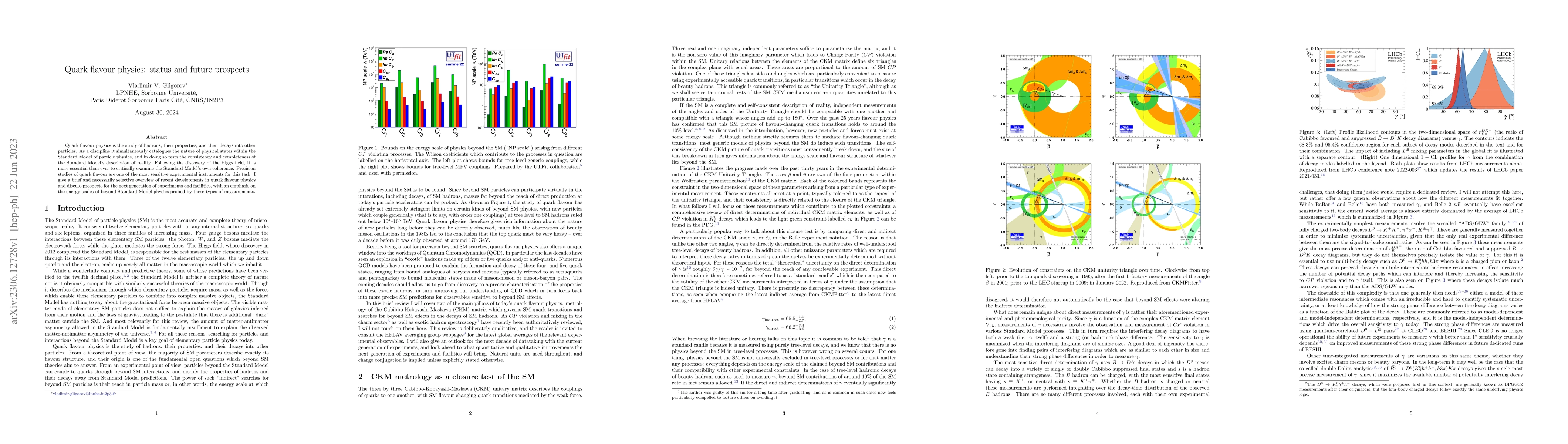 Thumbnail for Quark flavour physics: status and future prospects